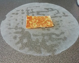 Foto del paso 4 de la receta: Rollitos Vietnamitas