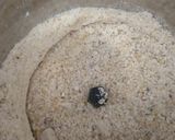 A picture of step 1 of Veg haleem.