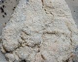 Foto del paso 2 de la receta: Milanesas de berenjena rellenas