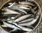 Une image de l'étape 5 de Croquettes de sardines.
