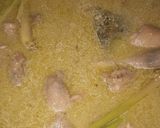 Foto langkah ke 5 dari resep Opor Ayam.
