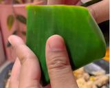 Foto langkah ke 4 dari resep 419. Botok Otak Sapi.