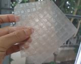 รูปขั้นตอนการทำที่ 1 ของ Rice Paper Mexican Kale Crackers ข้าวเกรียบแป้งเปี๊ยะเวียดใบไชยา