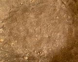 Foto del paso 5 de la receta: Pay de queso con rompope