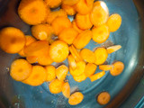 Pewarna Makanan Alami Oranye (Wortel)
