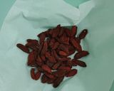 A picture of step 2 of Goji soup.