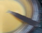 स्वीट कस्टर्ड (sweet custard recipe in Hindi) रेसिपी चरण 1 फोटो