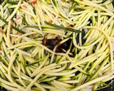 櫛瓜金針菇的食譜步驟6照片