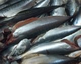 Foto langkah ke 1 dari resep Ikan goreng ketumbar.
