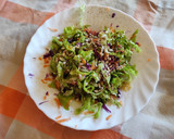 Foto del paso 1 de la receta: Ensalada picante con col lombarda y sésamo