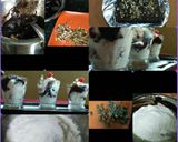 A picture of step 10 of Brownie with ice cream.