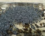 Hình bước làm 2 của món Cháo giò heo đậu đen mộc nhĩ