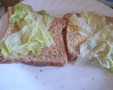 A picture of step 1 of Egg Deluxe Sandwich Version with leftovers.