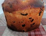 Foto del paso 7 de la receta 167. Panetone de pepitas de chocolate / Masa en panificadora