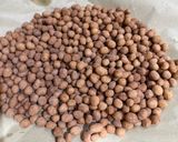 Foto langkah ke 7 dari resep Kacang Telur.