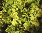 A picture of step 2 of Kale Greens with Bits of the Bovine.