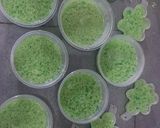 Foto langkah ke 5 dari resep Puding Lumut Pandan praktis.