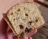 Foto del paso 25 de la receta: Panettone (mini) v1