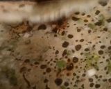 A picture of step 5 of Instant Jowar Dosa.