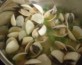 Foto del paso 7 de la receta Pijotón de Cádiz con almejas en salsa verde