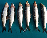 Foto del paso 4 de la receta: Sardinas escabechadas