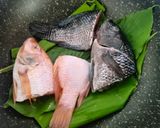 Foto langkah ke 3 dari resep PANGEK IKAN NILA - Minang.