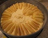 蘋果片鑲蛋糕的食譜步驟9照片