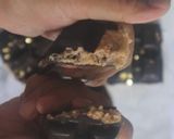 Foto langkah ke 6 dari resep Coklat Dubai Versi Kacang Almond.