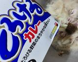十分鐘上菜-咖哩豚肉丼飯的食譜步驟6照片