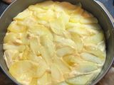 Apfelkompott-Kuchen