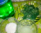 A picture of step 1 of Mint margrita.
