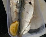 Foto langkah ke 1 dari resep Ikan Kembung Goreng.