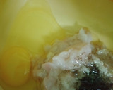 Gambar langkah 2 resipi Nugget ala tempura mini.