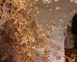 A picture of step 4 of Crispy Ginger Beef.