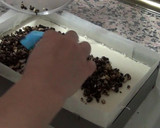 Foto del paso 8 de la receta: Tarta de oreo con crumble de oreo