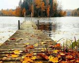 عکس مرحله 6 از دستور 🪷خوراک عدس با رب انار🪷