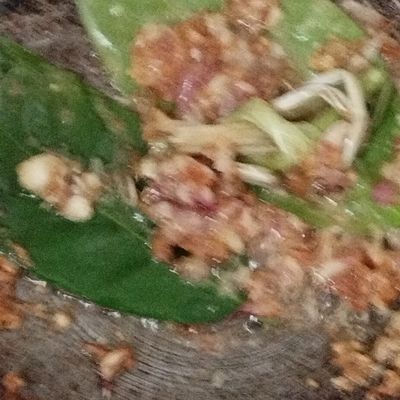 Langkah 2