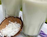Coconut Milk Drink recipe step 2 photo