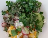 عکس مرحله 1 از دستور سالاد خیار و تربچه خامه ای🥗