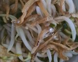 Foto langkah ke 3 dari resep Toge Teri.