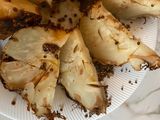 Roasted Whole Celeriac Root (OMG, thank you Ottholenghi!!!)