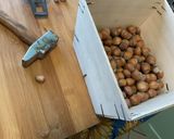 Une image de l'étape 1 de Gâteau de noël au miel et noisettes.