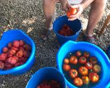 Foto del paso 1 de la receta: Pisto manchego Piedrabuenero