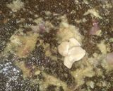 Foto langkah ke 3 dari resep Bobor Daun Kelor.