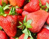 Foto del paso 1 de la receta: 🍓🍓FRUTILLAS🍓🍓 🎅🏼🎄🥂🍾NAVIDEÑAS🎅🏼🎄🥂🍾🍓🍓