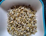 A picture of step 1 of Sprout Salad.
