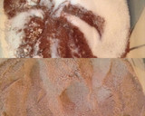 Foto del paso 1 de la receta: Facilísimo bizcochuelo de chocolate con baño de chocolate