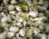 Foto del paso 4 de la receta: Repollitos de Bruselas gratinados y algo más.