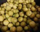 عکس مرحله 1 از دستور رب آلوچه (رب گوجه سبز)
