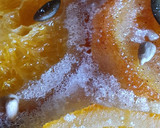 Foto del paso 11 de la receta: Coca de Sant Joan